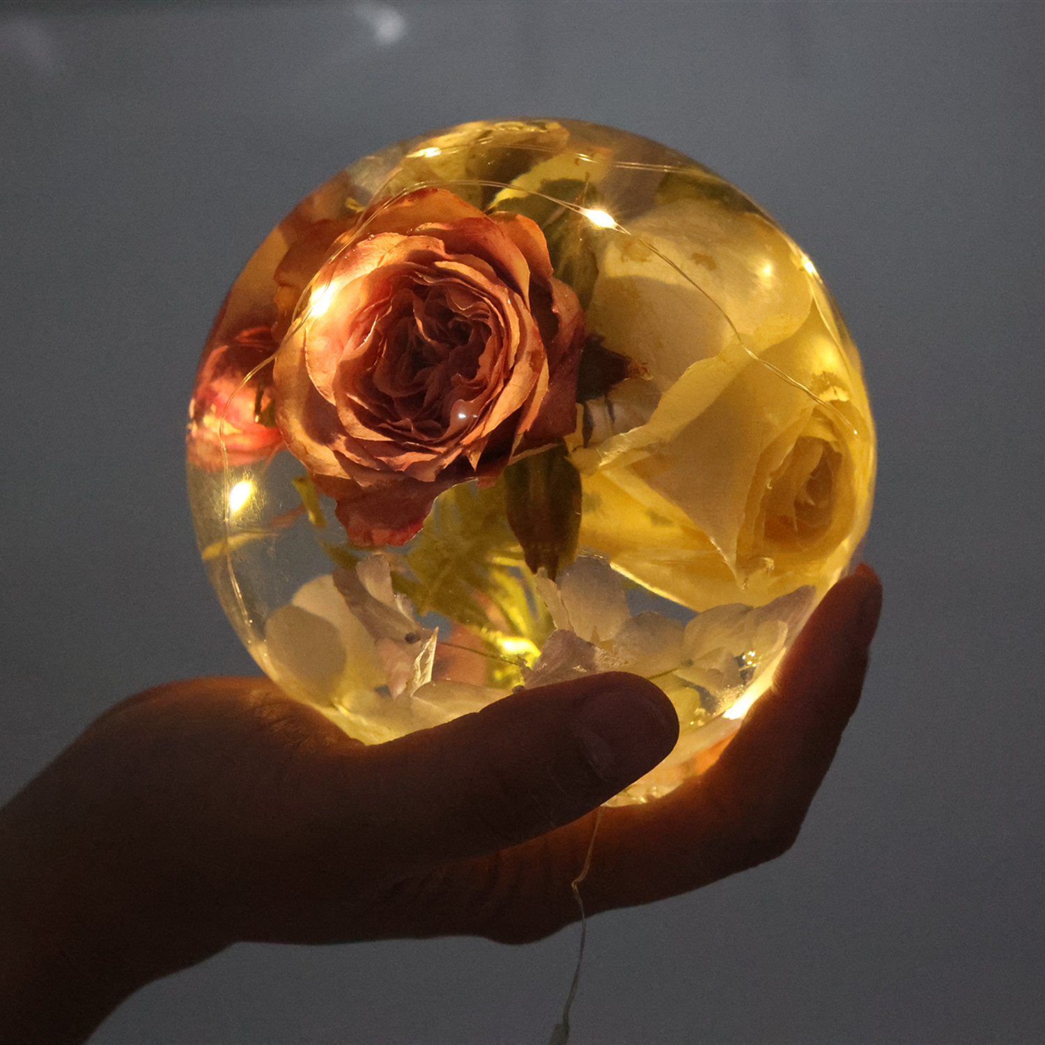 65-120 มม.Sphere Ball แม่พิมพ์ - Art Craft Model บทวิจารณ์และราคา